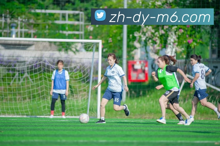 M22体育投注平台APP 高清赛事图